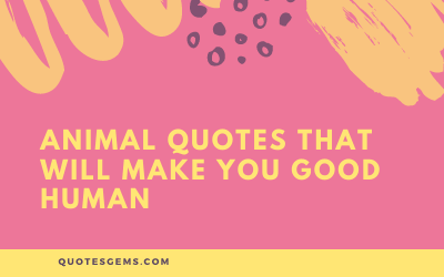 Inspirational Animal Quotes